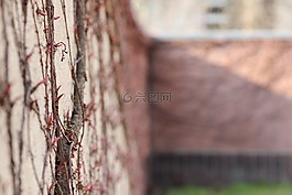 墙,登山者,擦除