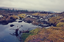 山,草,水