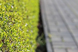 对冲,离,目标