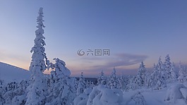 芬蘭,冬天,雪