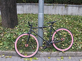 自行車,路燈,街拍