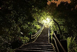 光,階梯,樹叢