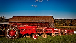 收藏farmall,拖拉机,酿酒