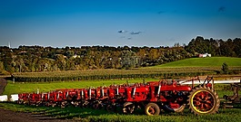 收藏farmall,拖拉机,酿酒