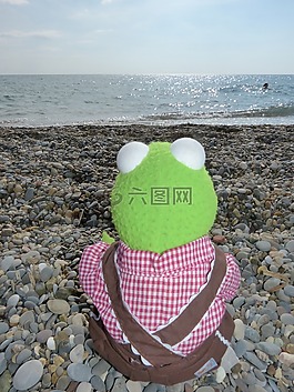 柯,青蛙,海