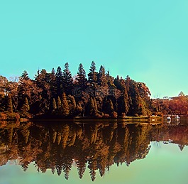 公園,樹木,性質(zhì)