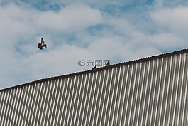 藍(lán)色,天空,云