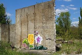 石,花园,花