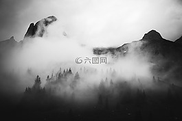 山,森林,樹