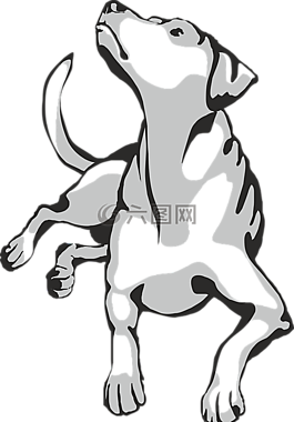 狗,動(dòng)物,休息