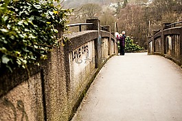 樹,植物,橋