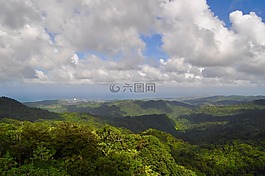 森林,丘陵,查看