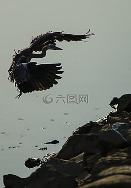 新增功能,研究,大韓民國(guó)