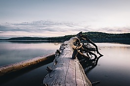 海,海洋,水