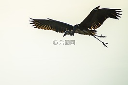 新增功能,研究,nakdong 河