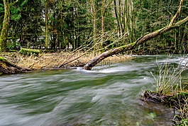 水域,河,性質(zhì)
