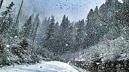 冬季,冬天,大雪