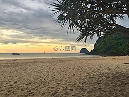 日落,海灘,海洋