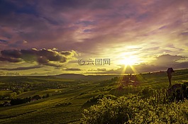 天空,云,樹