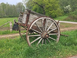 教練,馬車(chē),貨車(chē)