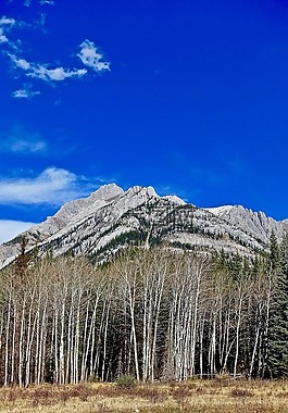 山,洛矶山,景区
