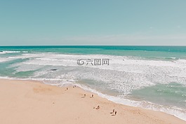 海,海洋,水