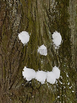 树,雪,森林精神