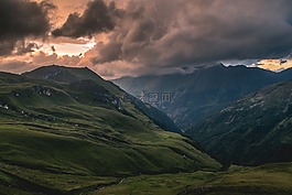 高原,樹,植物