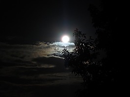月亮,亮度,夜