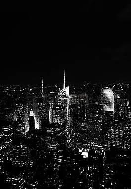 城市,全景圖,夜