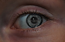 眼,灰色,顏色