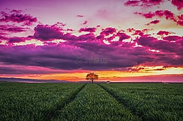 天空,云,自然