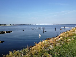 海,天鵝,橋