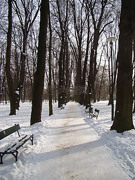公園的冬天,胡同,冬季