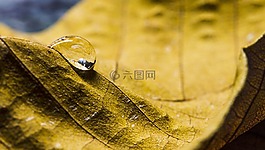 性质,水,纹理