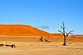 沙漠,自然,納米比亞