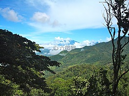 巴拿馬,云霧林,天空