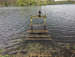 木板路,unterbachersee,杜塞尔多夫