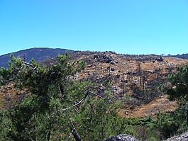 星锯,全景图,山