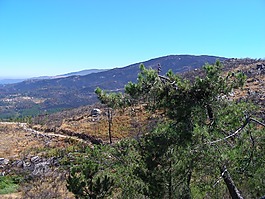 星锯,全景图,山