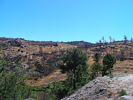 星锯,全景图,山