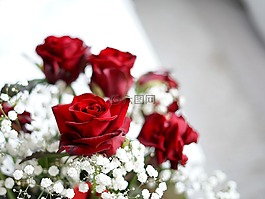 花,玫瑰,花束