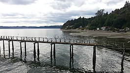 vashon,島,華盛頓