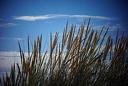 性質(zhì),天空,藍(lán)色