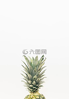 菠萝,甜点,开胃菜