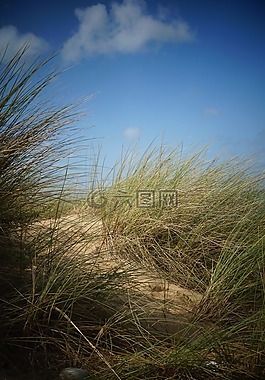 海灘,砂,天空