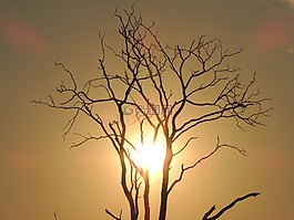 日落,黃昏,溶膠