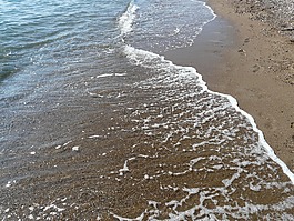 海,沙滩,波