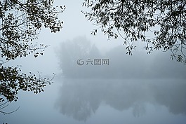 霧,湖,神秘