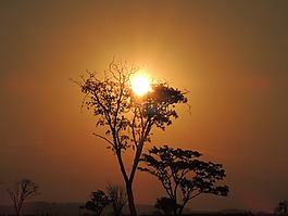 日落,黃昏,溶膠